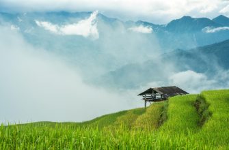 Vietnamesische börsennotierte Aktien: Wertschöpfung in einem sich schnell entwickelnden Markt