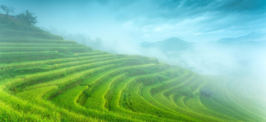Aktienfonds Vietnam: Chancen und Perspektiven in einem Wachstumsmarkt