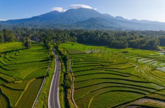 Ausblick auf den vietnamesischen Aktienmarkt im Juli 2025: Stabilisierendes Wachstum inmitten globaler Volatilität