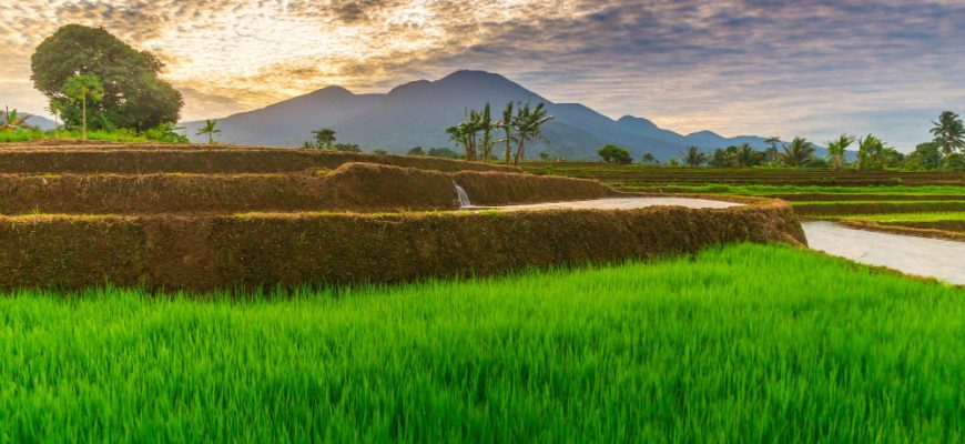 Schwellenländer Fonds 2025: Strategien, Chancen und Risiken für die Zukunft
