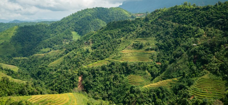 Vietnam 2025: Digital & dynamisch