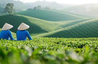 Best Vietnam equity funds 2025: Führende Strategien für Wachstum in Frontier-Märkten