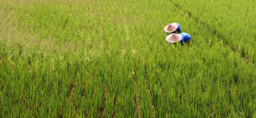 Vietnam Investmentfonds: Frontier-Potenzial durch lokale Expertise erschließen