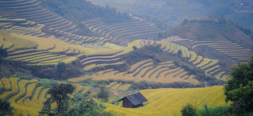 Vietnam UCITS Fond: Strukturierter Zugang zu wachstumsstarken Frontier-Märkten