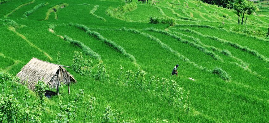 Vietnam ETF: Passiver Zugang mit strategischen Kompromissen